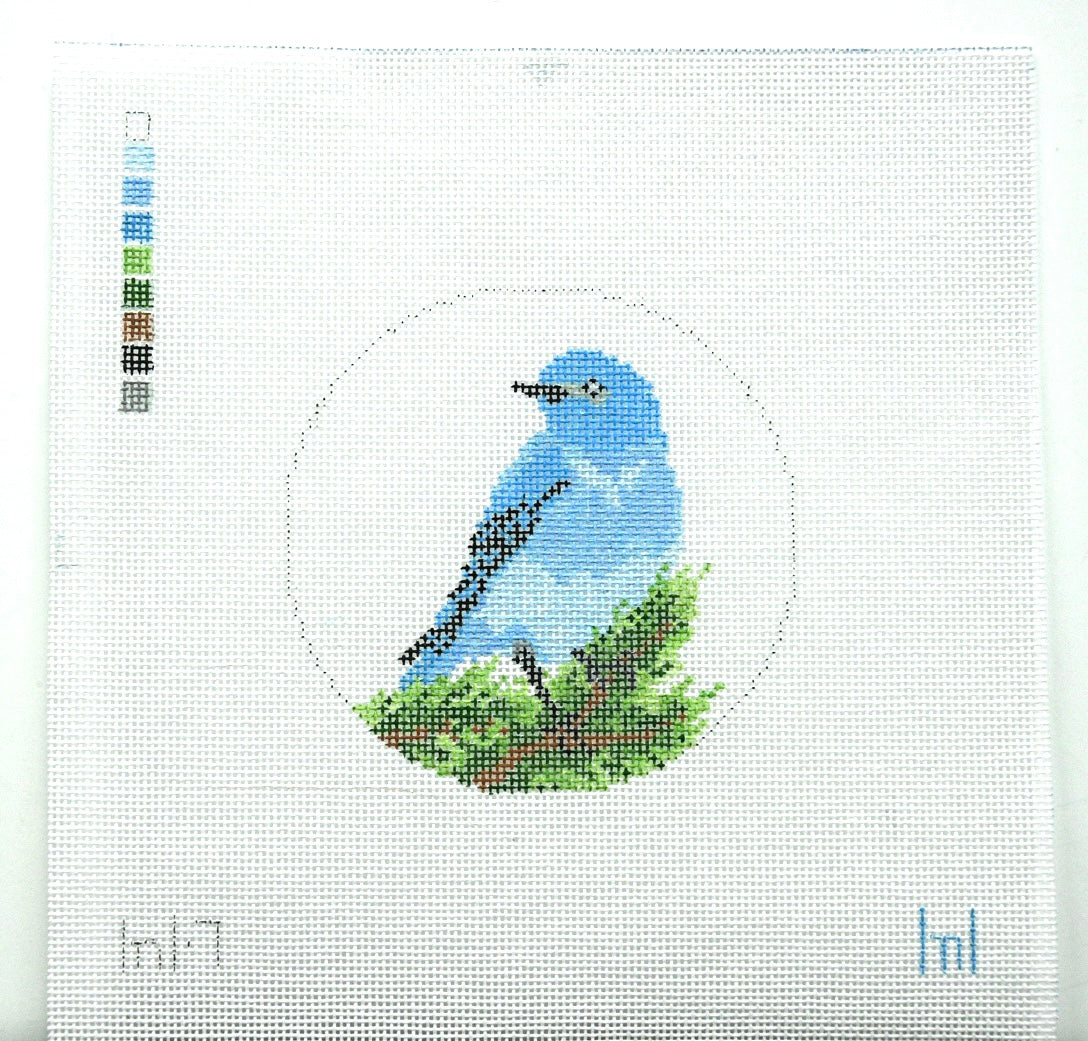 Mountain Bluebird