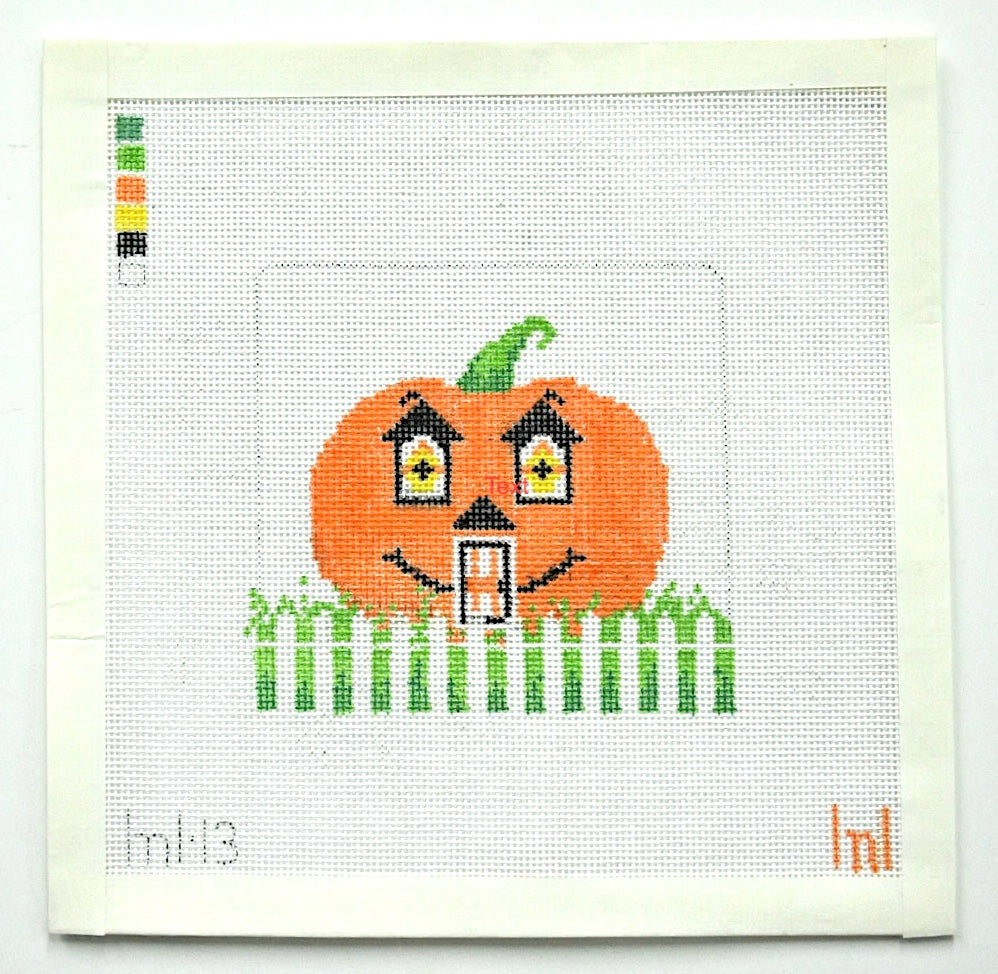 Pumpkin and Fence